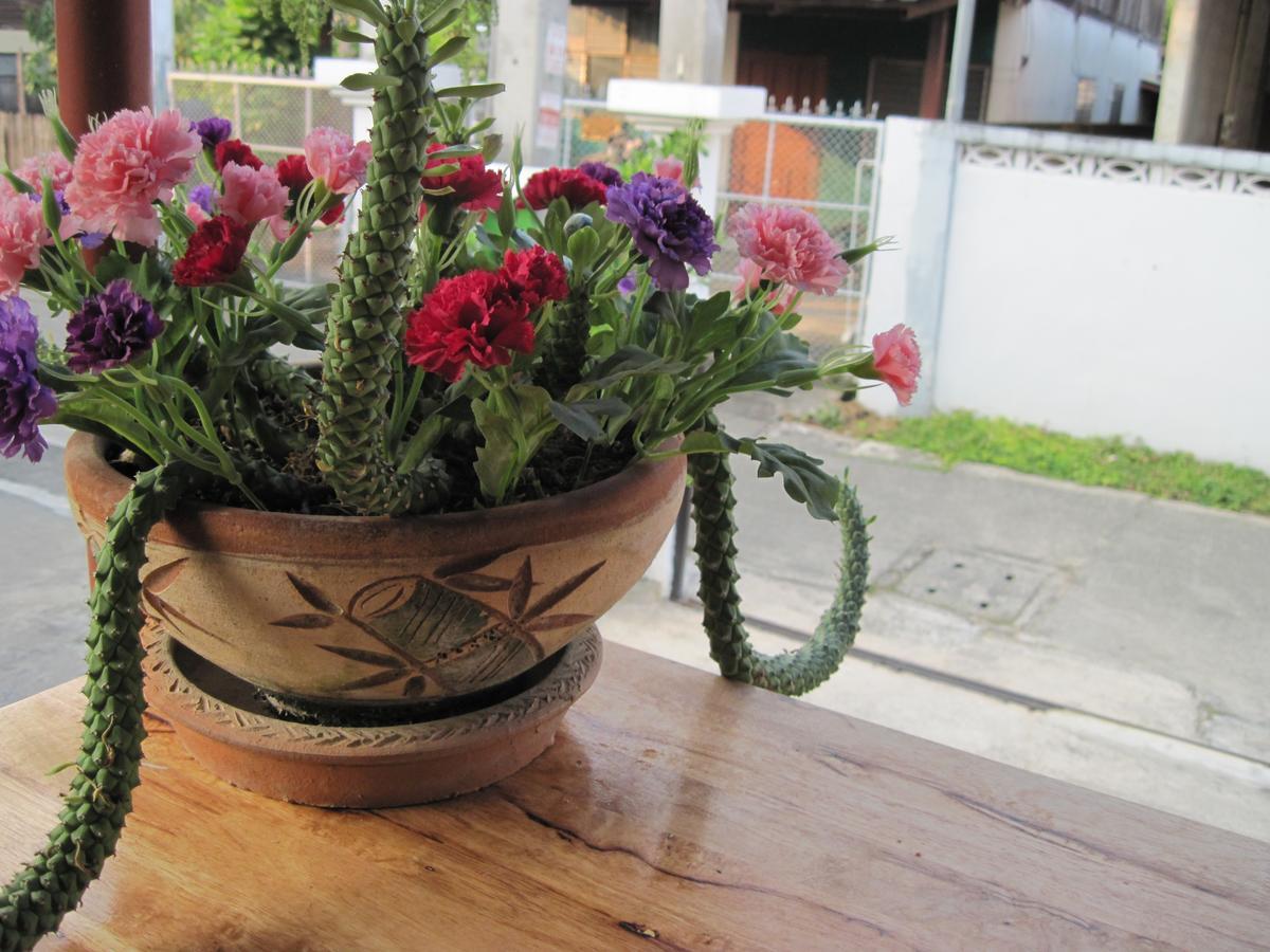Sakura House Hostel Чиангмай Екстериор снимка